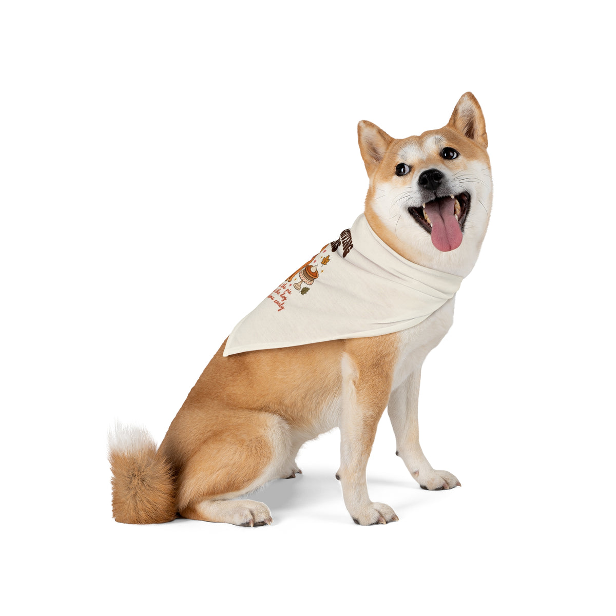 Thanksgiving Plans Dog Bandana | Eat the Pie, Pet the Dog, Go Home Early