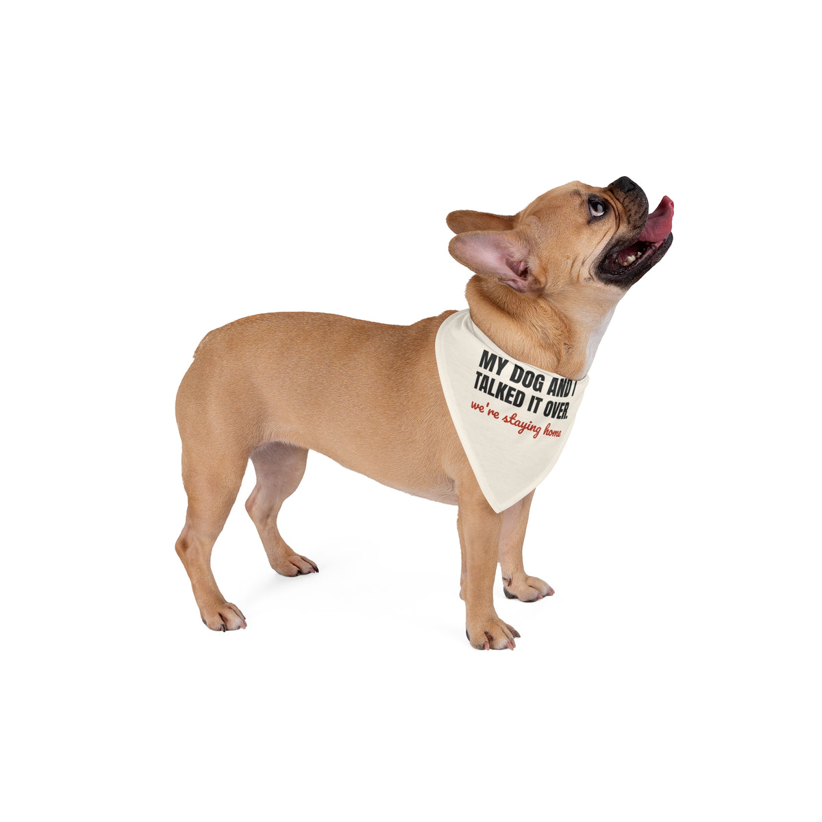 My Dog and I Talked It Over Dog Bandana | We're Staying Home